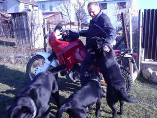 Doris, Astra, Nero, Pe�ko a ich ob��ben� motorka